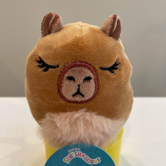 New 2.5” Lijjian the Capybara Micromallow Squishmallow from Mystery Caps… - Picture 2 of 4